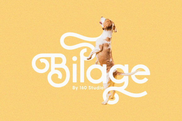Bilage: A Handwritten Font That Adds Warmth and Personality